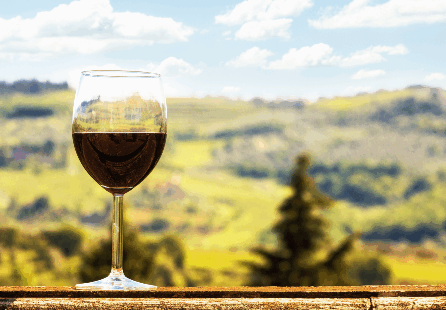 egustazione di vino al tramonto tra i vigneti