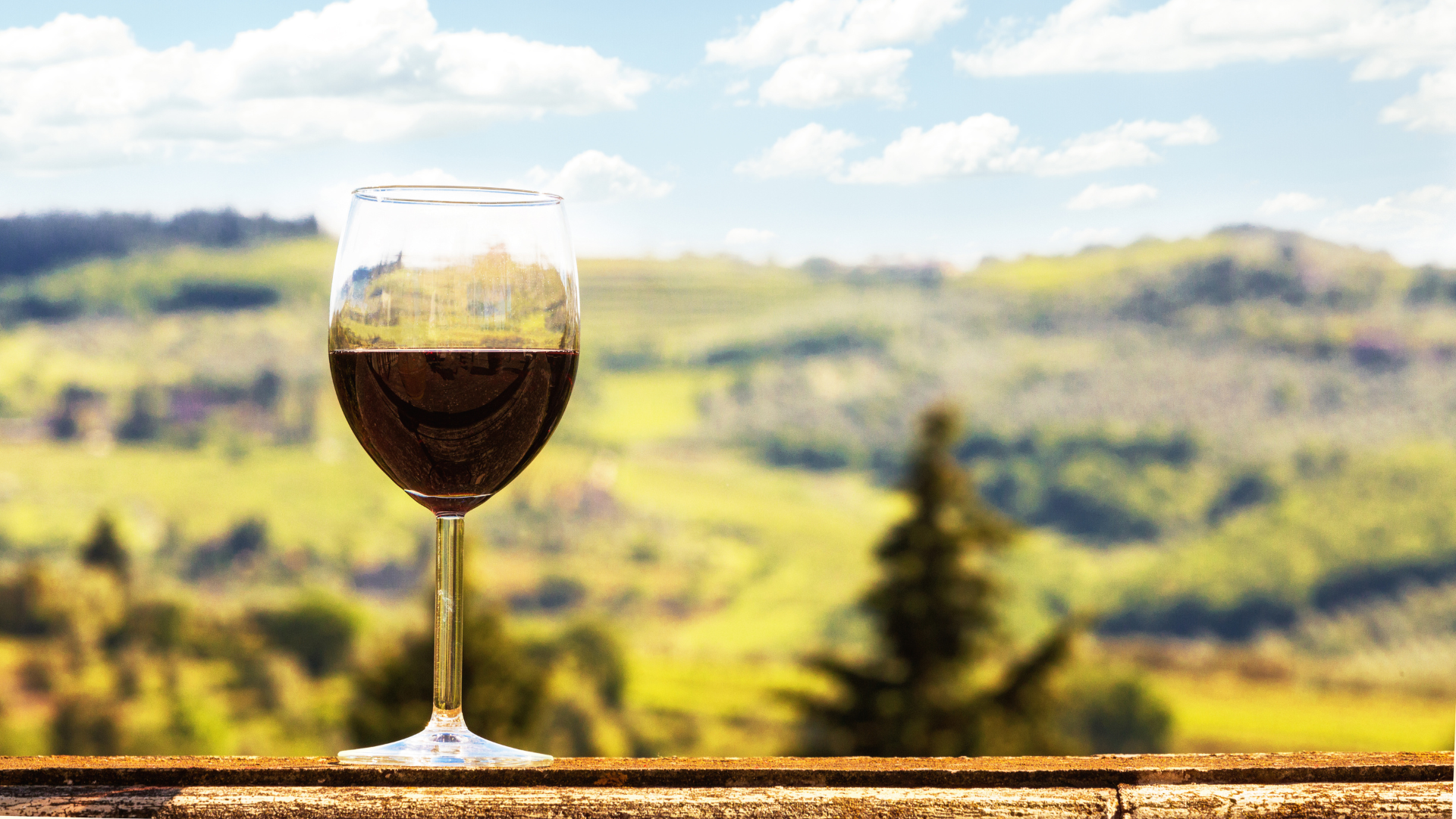 egustazione di vino al tramonto tra i vigneti